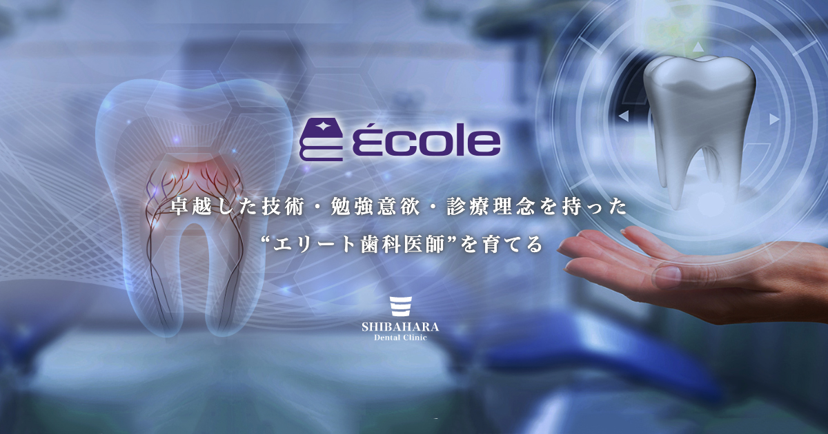 世界のエリート歯科医師の養成学校、École